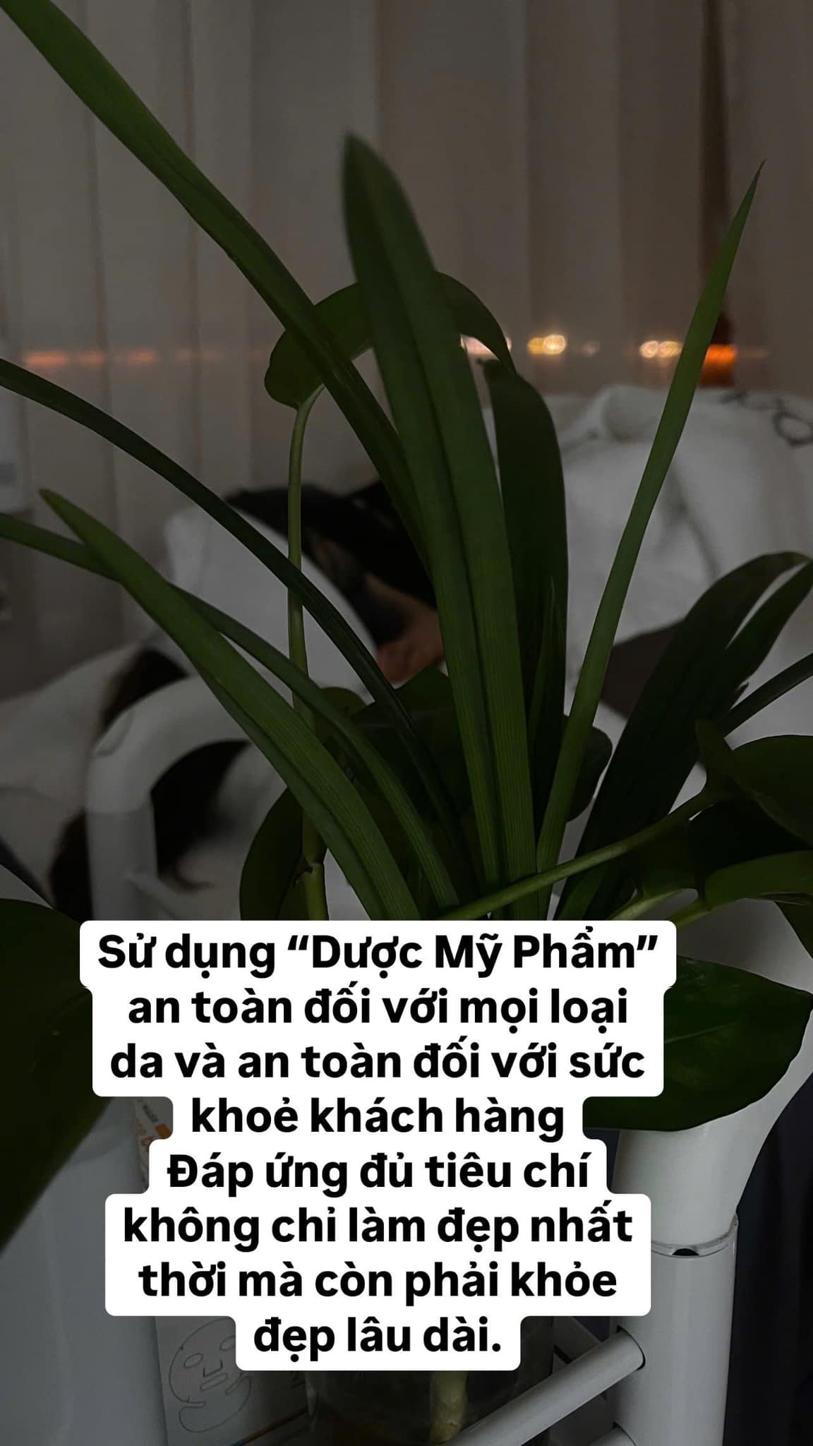 TẠI SAO TÔI LẠI CHỌN DƯỢC MỸ PHẨM